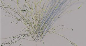 grass 3D