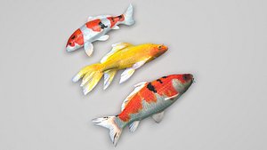 3D model Koi Fishes Set