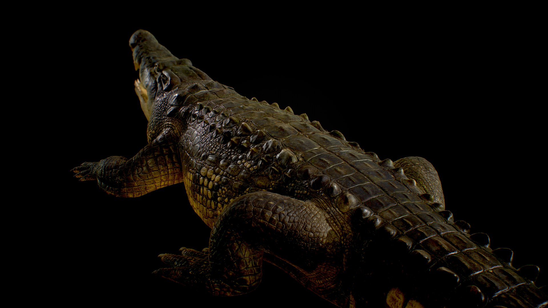 Crocodile rig animations 3D model - TurboSquid 1642779
