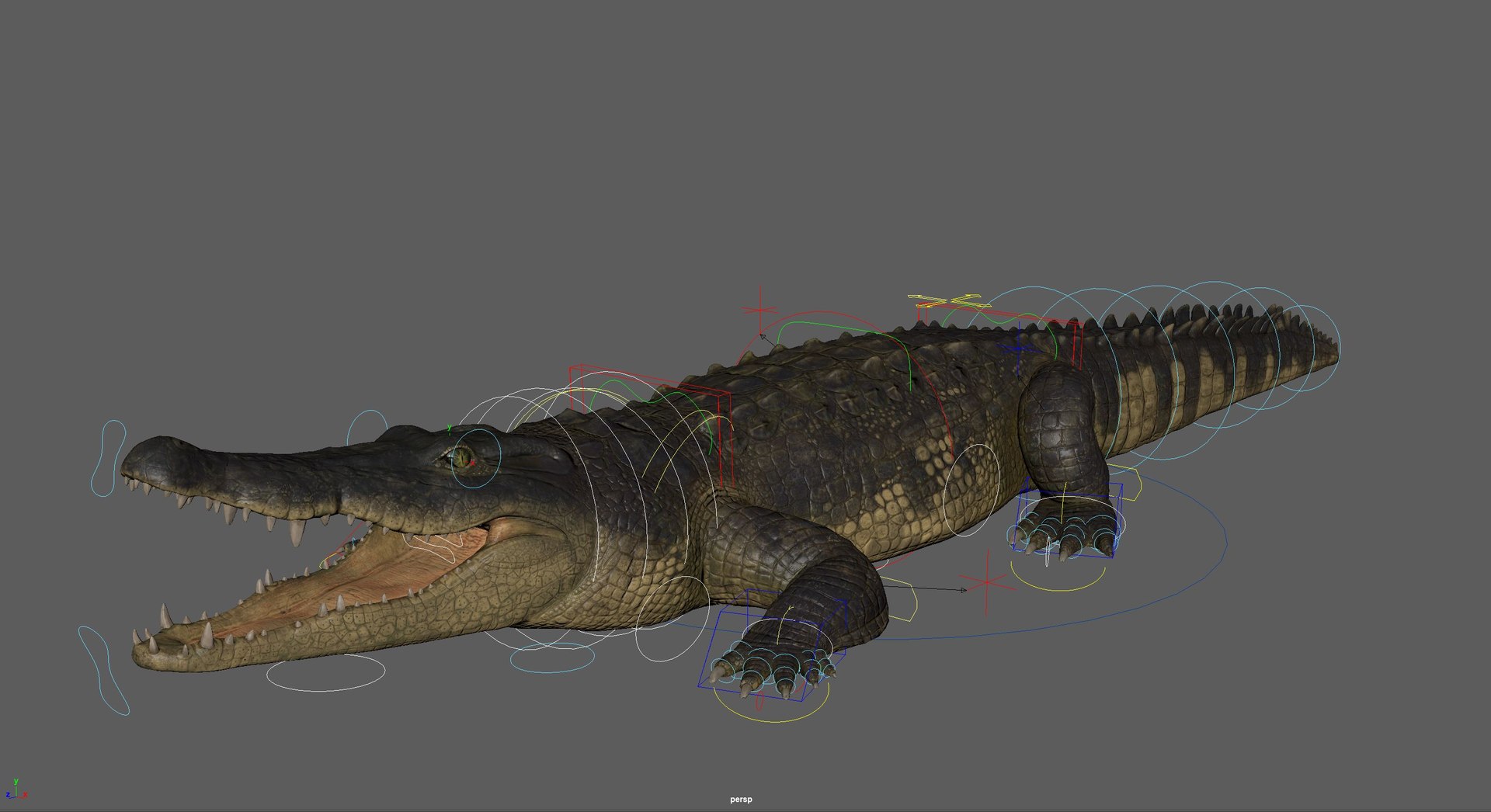 Crocodile rig animations 3D model - TurboSquid 1642779