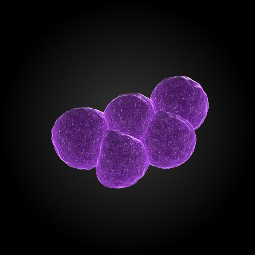 25 Microbes Micro Sets 3d Max
