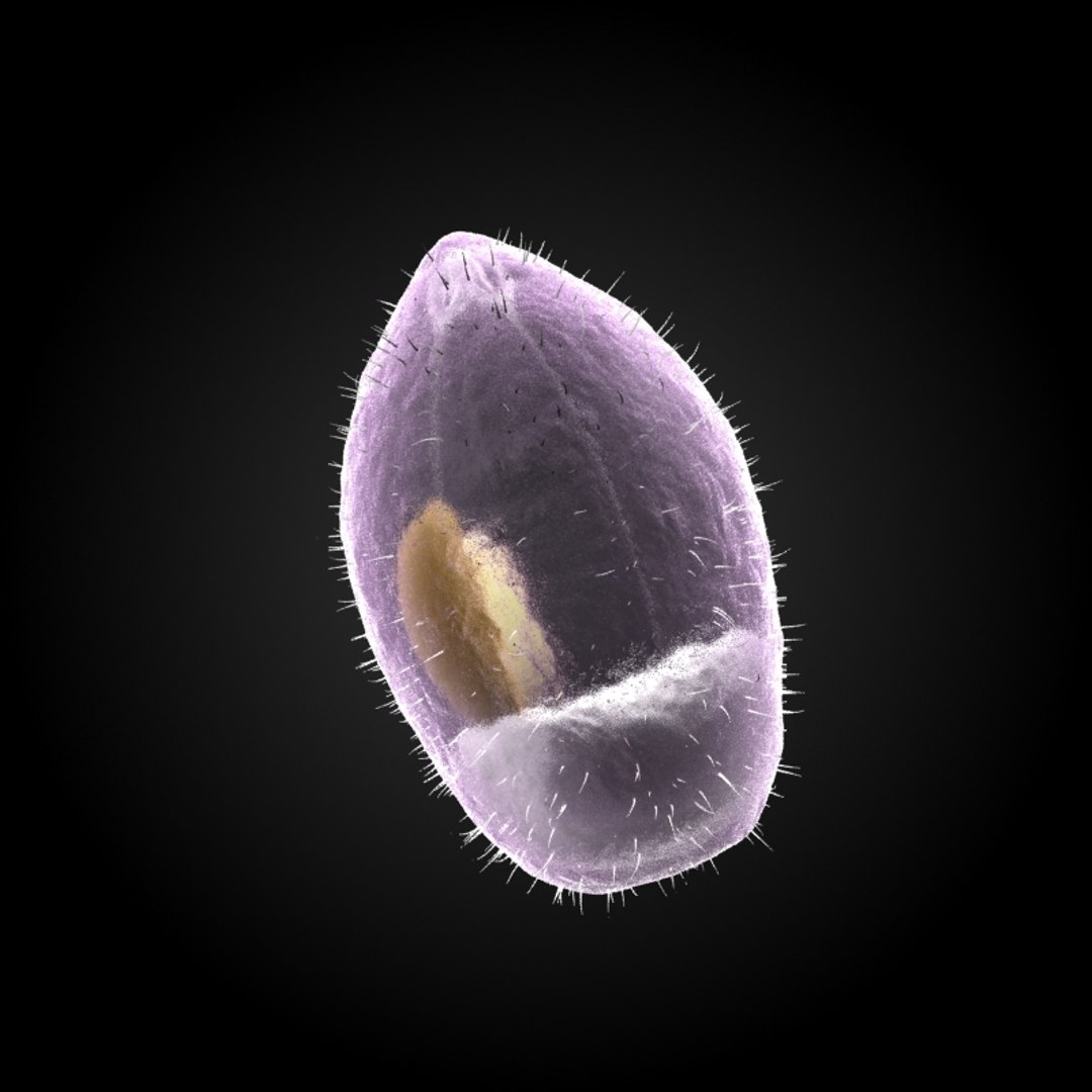 25 Microbes Micro Sets 3d Max