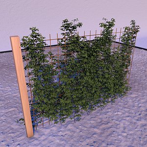 3D fences landscape garden model