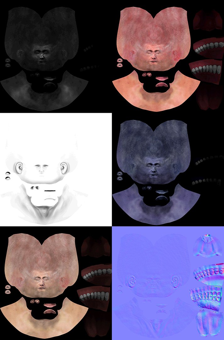 3d Professional Boxer Model