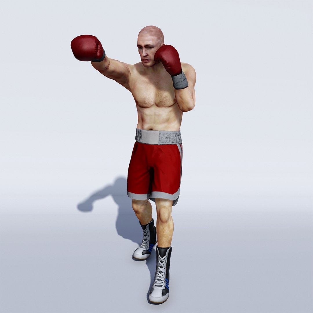 3d Professional Boxer Model