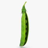 Open Green Peas Pod