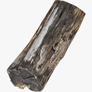 A withered piece of wood 3d scan in highpoly 3D model