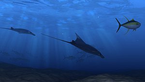 3D model underwater ocean floor seabed