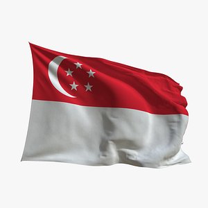 3D Realistic Animated Flag - Microtexture Rigged - Put your own texture - Def Singapore