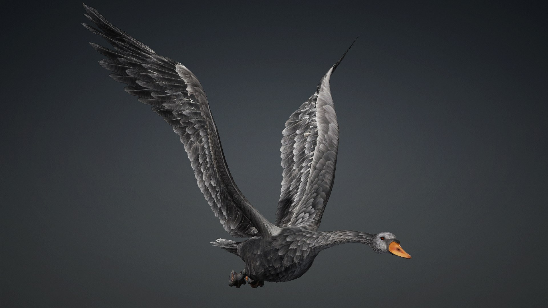 3D Cygnus-A4 https://p.turbosquid.com/ts-thumb/UW/CLl4hs/18/preview5/jpg/1793328761/1920x1080/fit_q87/eae20145380a4ef34185621beeef786c38cf824d/preview5.jpg
