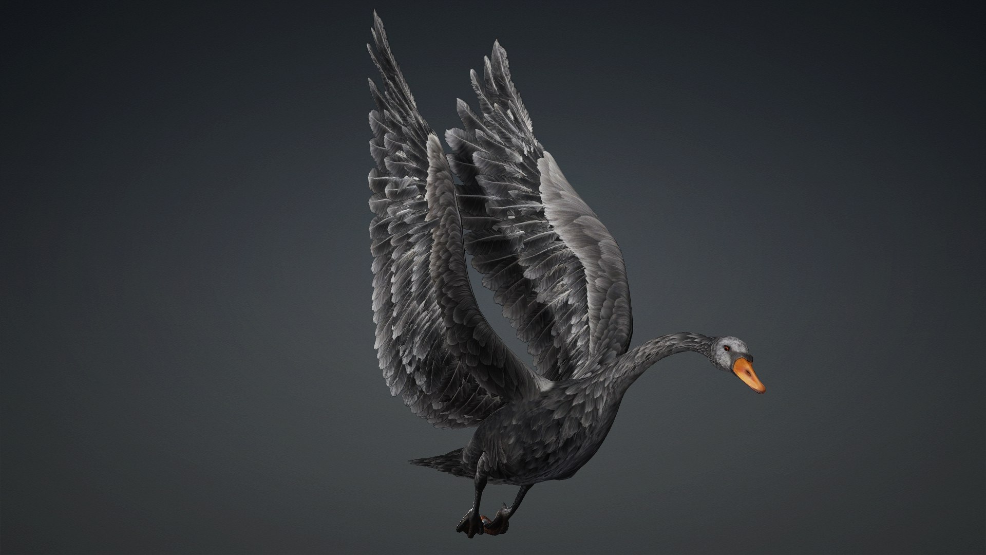 3D Cygnus-A4 https://p.turbosquid.com/ts-thumb/UW/CLl4hs/5A/preview10/jpg/1793328763/1920x1080/fit_q87/ca2a40fceaf5bee01a77a0096cbb8a4a26a10fac/preview10.jpg