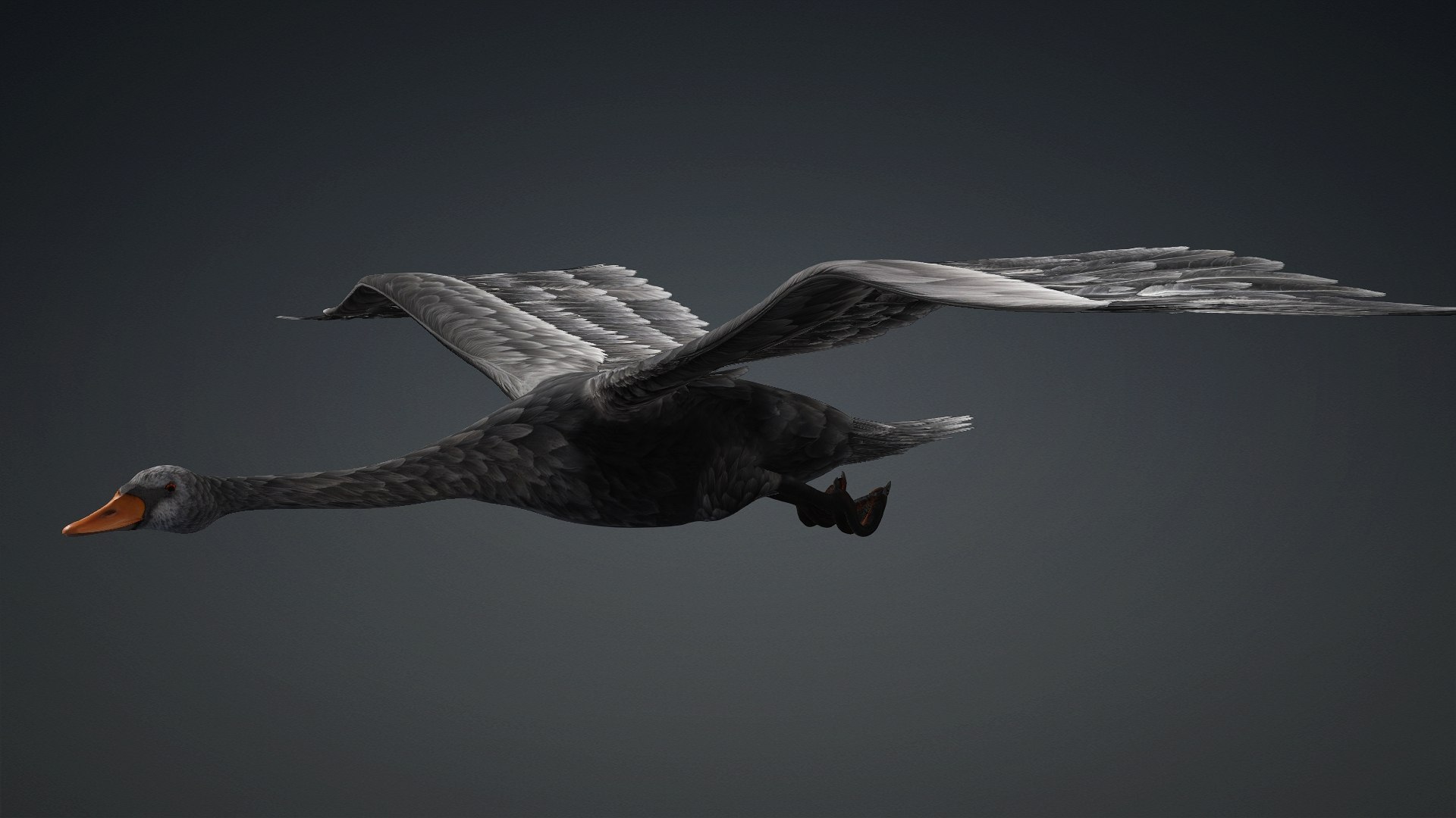 3D Cygnus-A4 https://p.turbosquid.com/ts-thumb/UW/CLl4hs/Iz/preview4/jpg/1793328760/1920x1080/fit_q87/776a92771c6a2c5736b3f963f3ce2c6dc6ea63f1/preview4.jpg