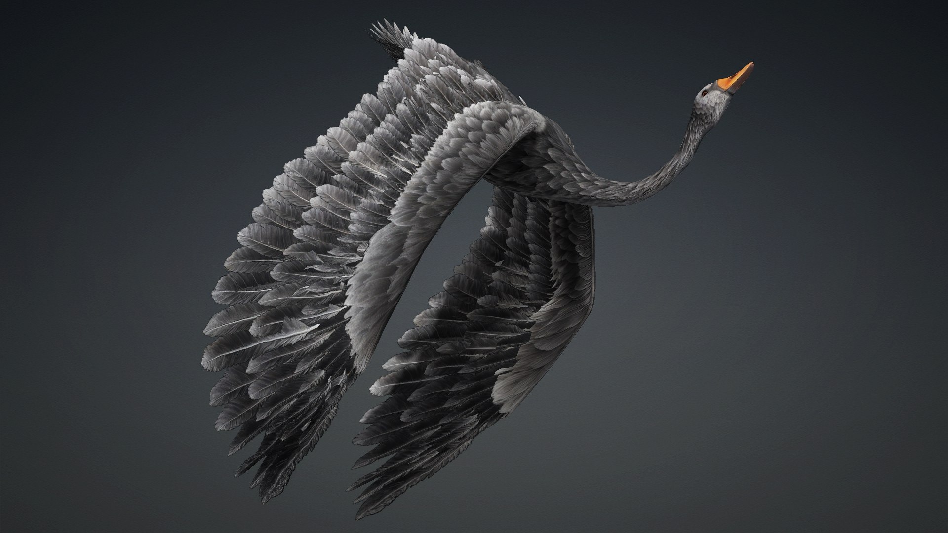 3D Cygnus-A4 https://p.turbosquid.com/ts-thumb/UW/CLl4hs/Mp/preview15/jpg/1793328766/1920x1080/fit_q87/e088c21ff168be8fe5a68f3758085b38bc128362/preview15.jpg