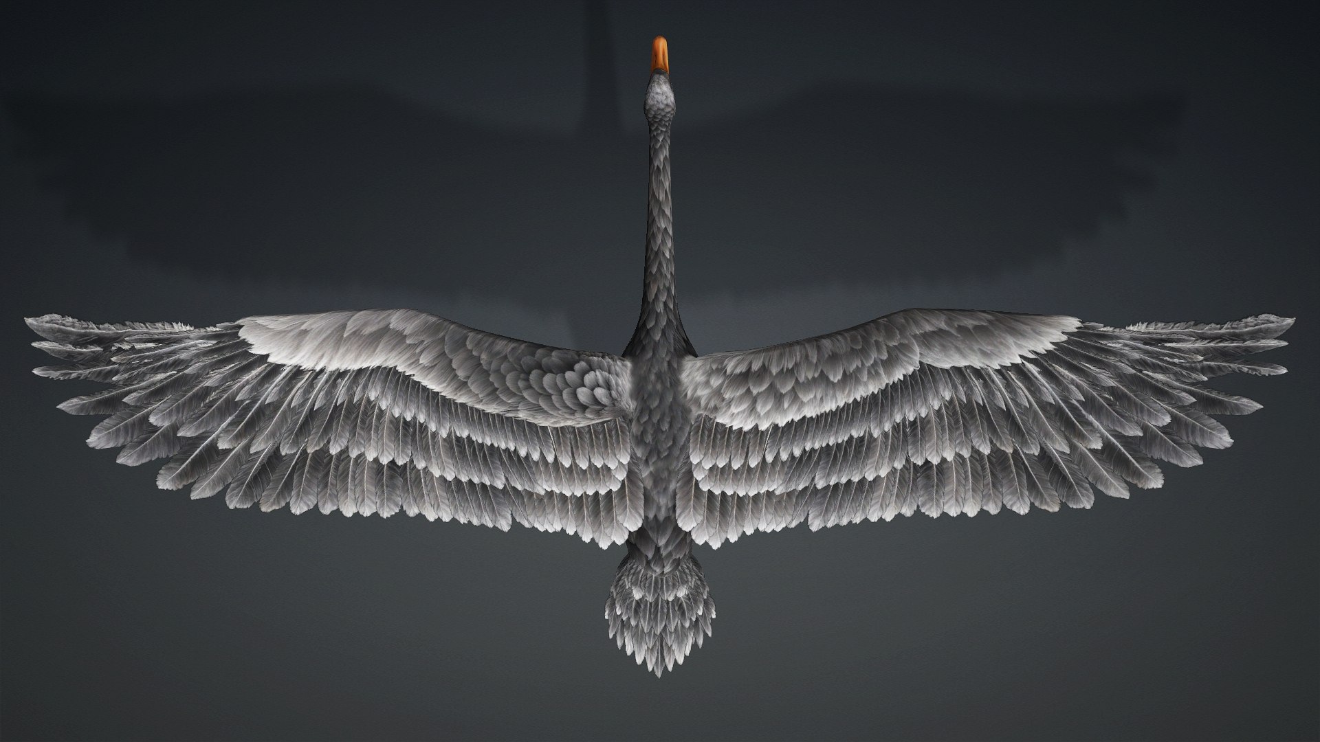 3D Cygnus-A4 https://p.turbosquid.com/ts-thumb/UW/CLl4hs/Ql/preview1/jpg/1793328758/1920x1080/fit_q87/90e237fa3f9659b693a66aa755d41f175e708473/preview1.jpg