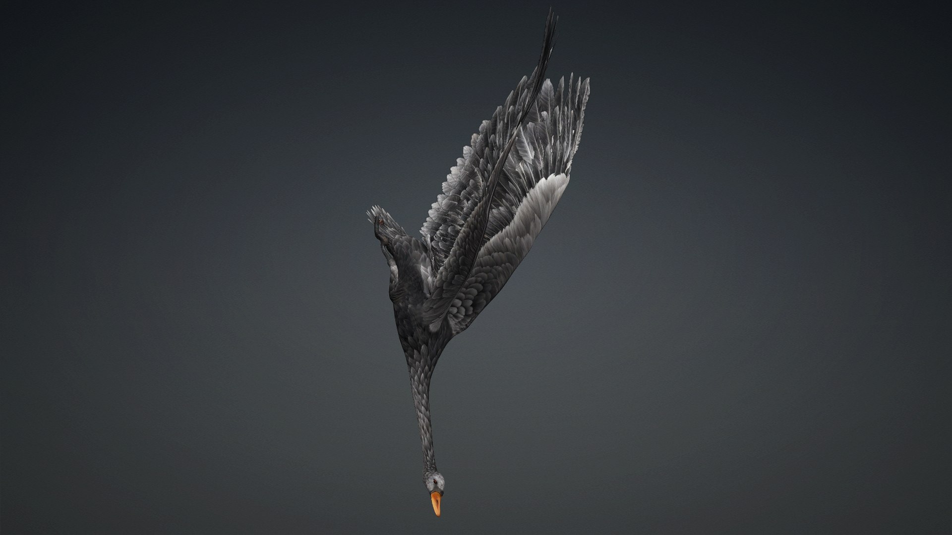 3D Cygnus-A4 https://p.turbosquid.com/ts-thumb/UW/CLl4hs/Tf/preview13/jpg/1793328764/1920x1080/fit_q87/c39fc6b67a247435f8bd56499c7a0efcff2d8d52/preview13.jpg