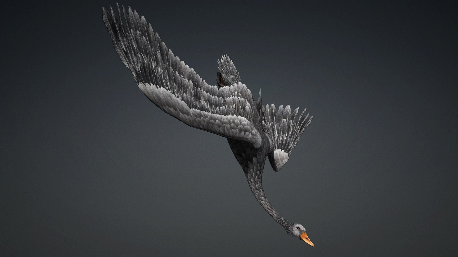 3D Cygnus-A4 https://p.turbosquid.com/ts-thumb/UW/CLl4hs/ZJ/preview14/jpg/1793328765/1920x1080/fit_q87/30d7fa59a209b7b6272830bc34ba3fb86cba61d7/preview14.jpg