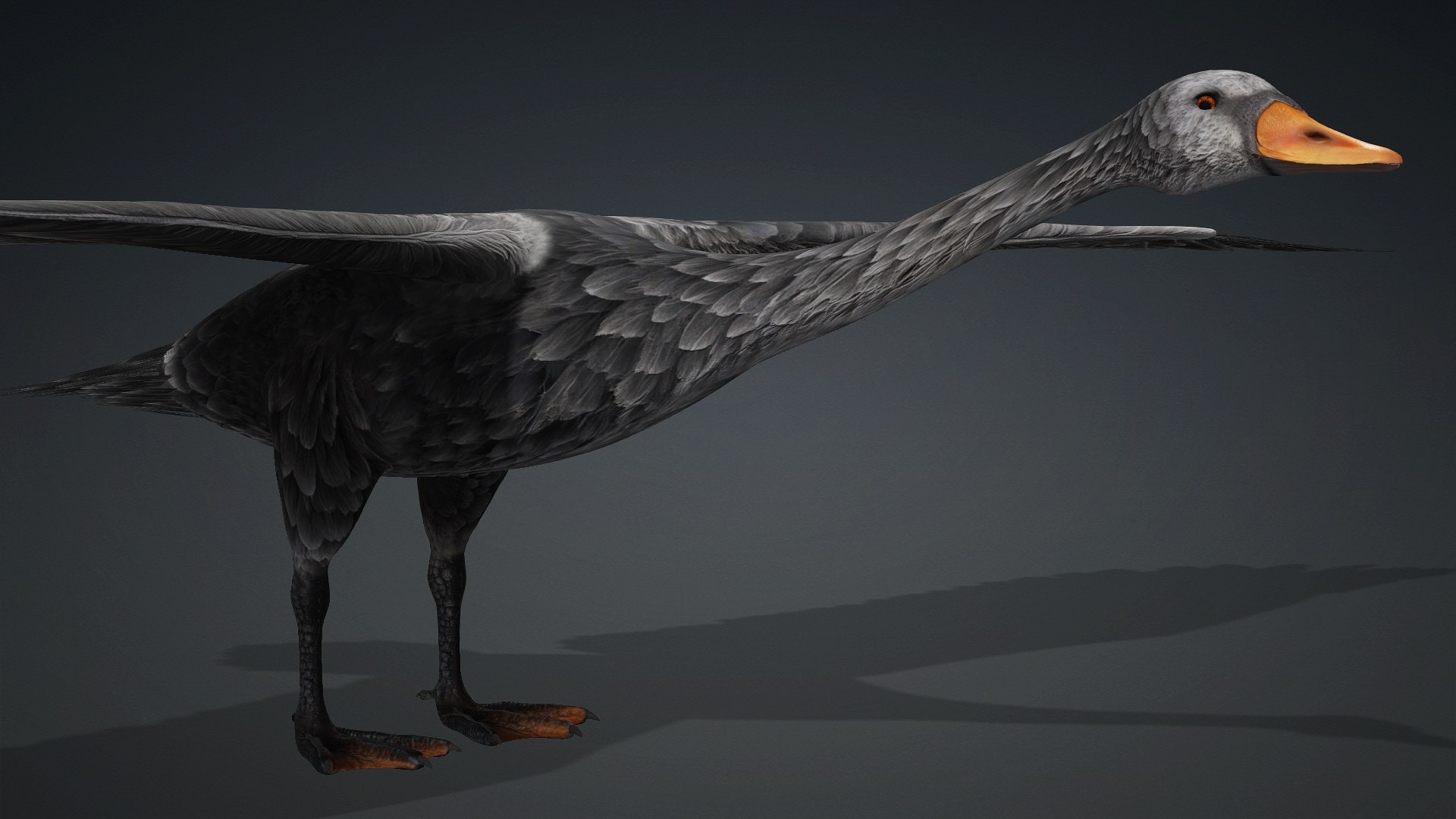 3D Cygnus-A4 https://p.turbosquid.com/ts-thumb/UW/CLl4hs/jr/preview3/jpg/1793328759/1920x1080/fit_q87/afc7c0f1e7de66320bcb460c722c2732e99f9086/preview3.jpg
