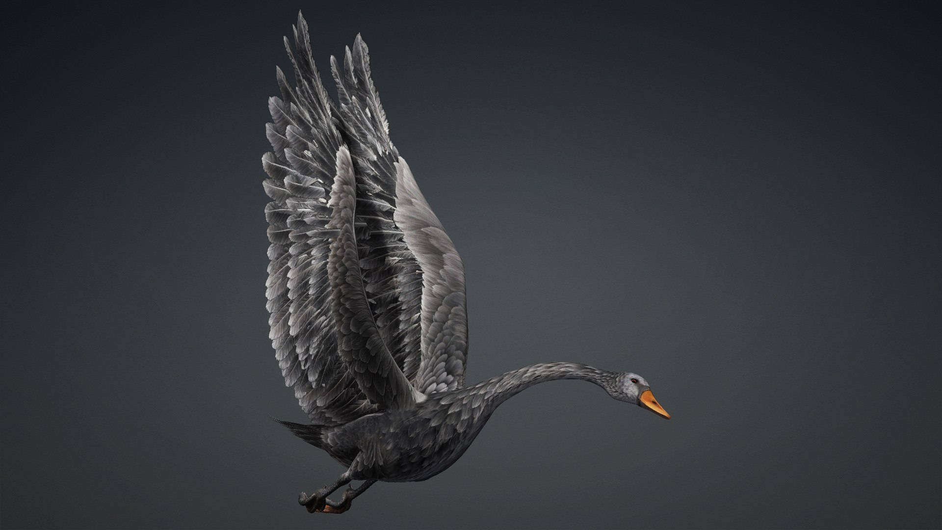 3D Cygnus-A4 https://p.turbosquid.com/ts-thumb/UW/CLl4hs/th/preview6/jpg/1793328761/1920x1080/fit_q87/d6a83a9246078819ff66d150cb1ad3e5e6b115c7/preview6.jpg