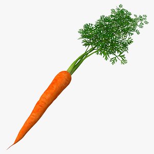 Carrot 2
