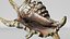 8K Spider Conch Shell
