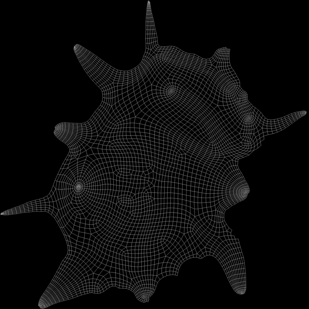 8K Spider Conch Shell 3D model https://p.turbosquid.com/ts-thumb/UW/YgZGLQ/Nj/uvrender/jpg/1766517592/1920x1080/fit_q87/64d728d95ec2ffc97cbf0d38e79a4a4ab3f683d5/uvrender.jpg