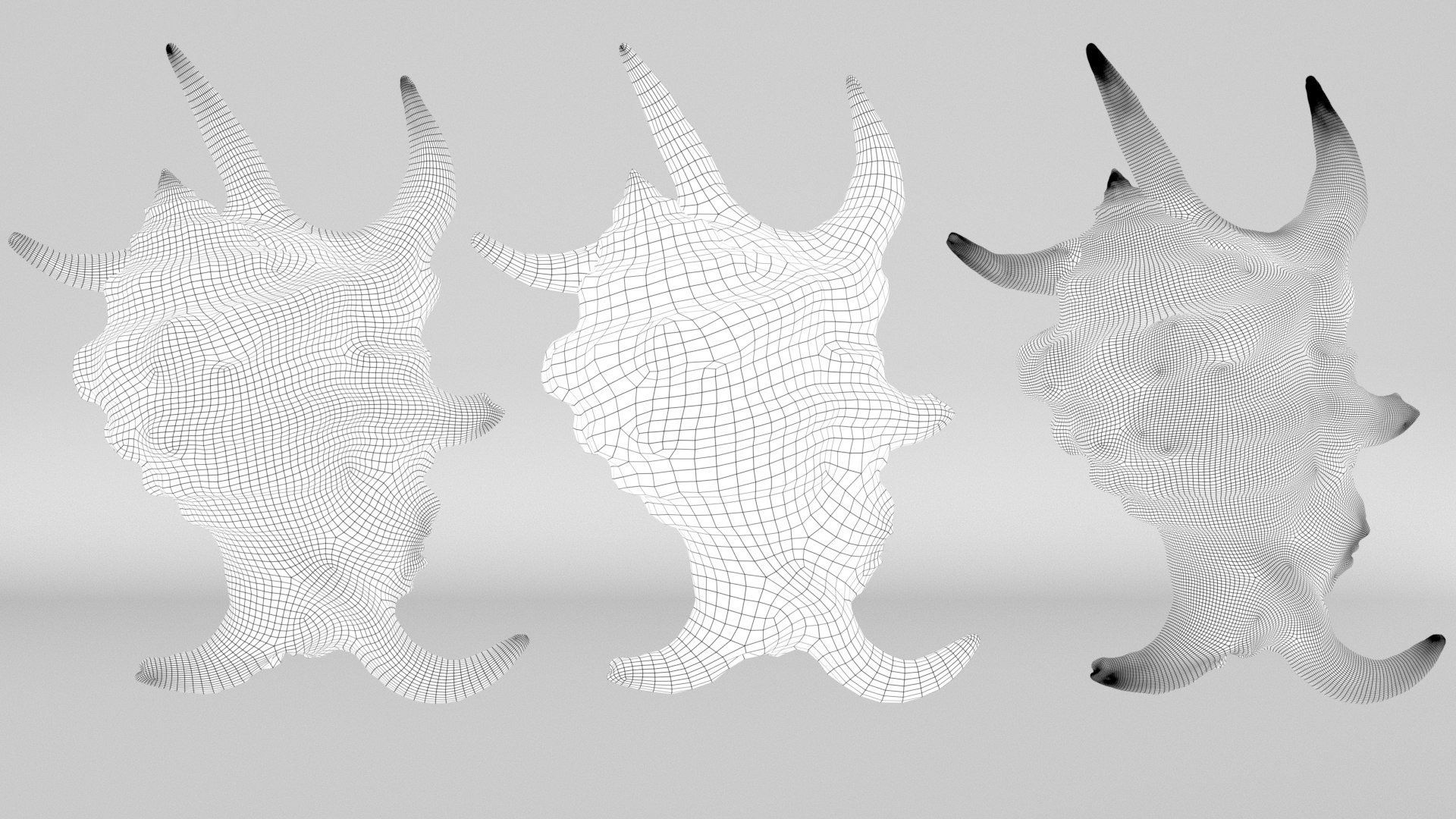 8K Spider Conch Shell 3D model https://p.turbosquid.com/ts-thumb/UW/YgZGLQ/PX/wireframerender/jpg/1766517579/1920x1080/fit_q87/6ebf430b692b15c68bd5b0ccbf7a7c9d8c3eeb7c/wireframerender.jpg