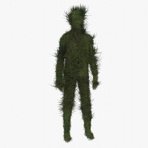 the grass man