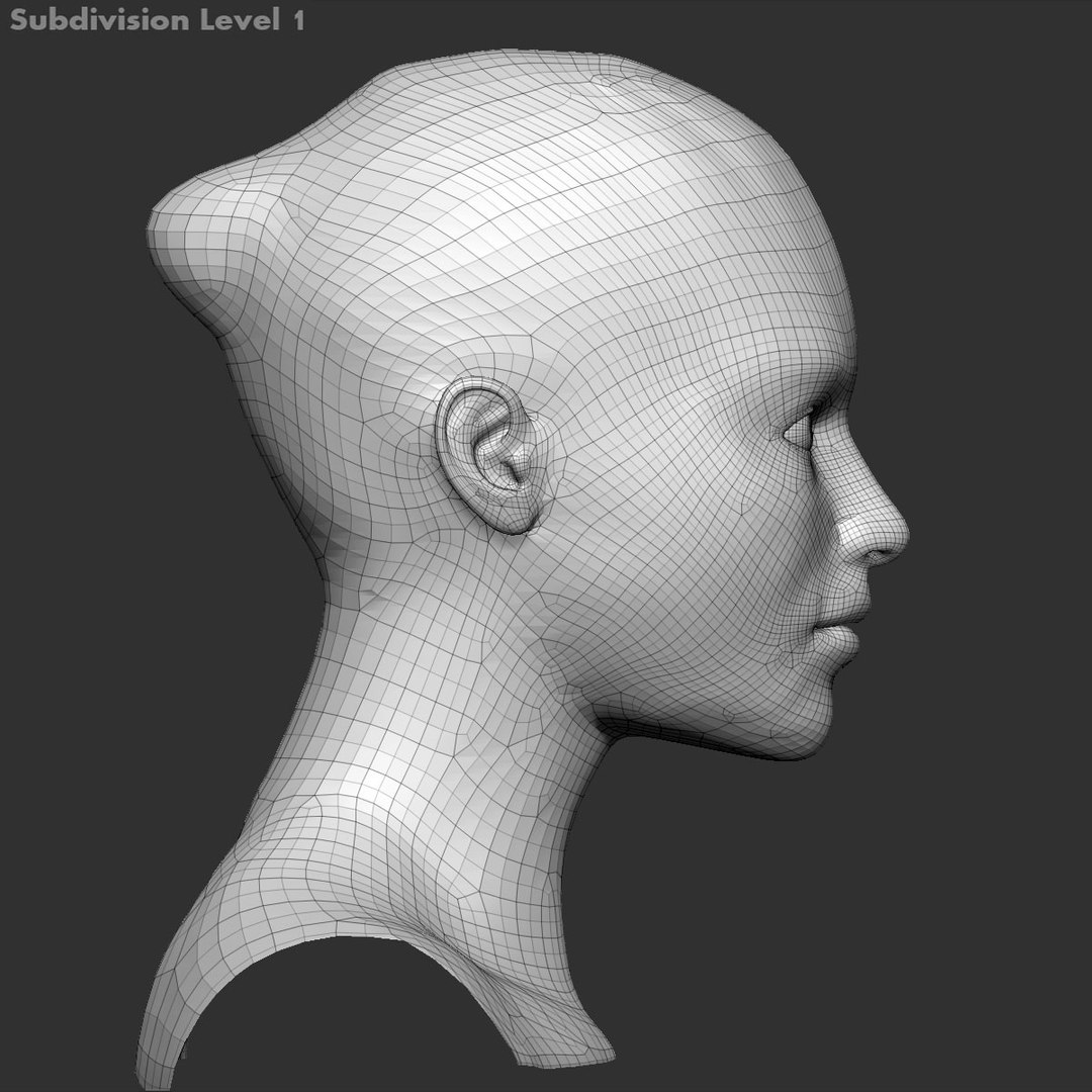 3d Model Female Head