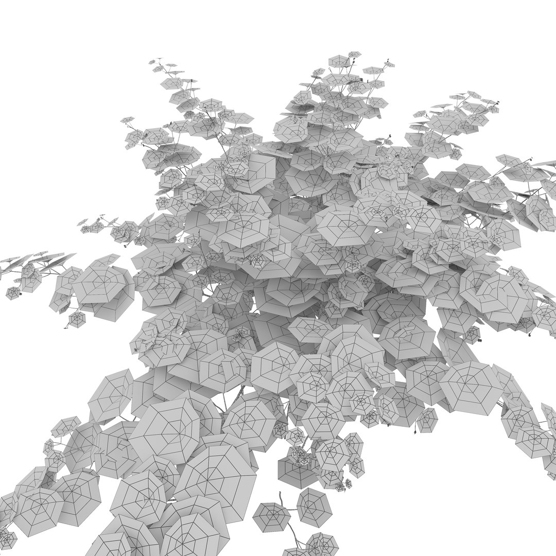 3D model Humulus japonicus https://p.turbosquid.com/ts-thumb/UW/d8jq1D/A8/preview6/jpg/1788926387/1920x1080/fit_q87/5aa88ad07773456fbca8dfd7faa48c3fb850603f/preview6.jpg