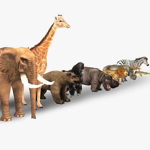 3D animals elephant model