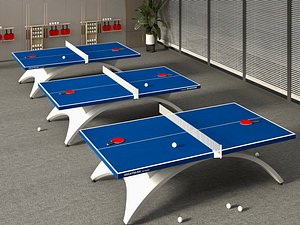 3D Ping Pong Table Set