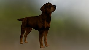 3D model Dog