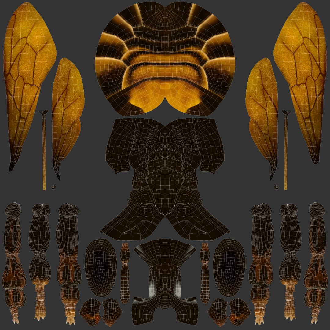 BeeRiggedAnimated 3D 3D model https://p.turbosquid.com/ts-thumb/UW/ymtTxf/Xx/10/jpg/1753670884/1920x1080/fit_q87/612e3201ee496039c490f225ddf51d267f1f0a1f/10.jpg