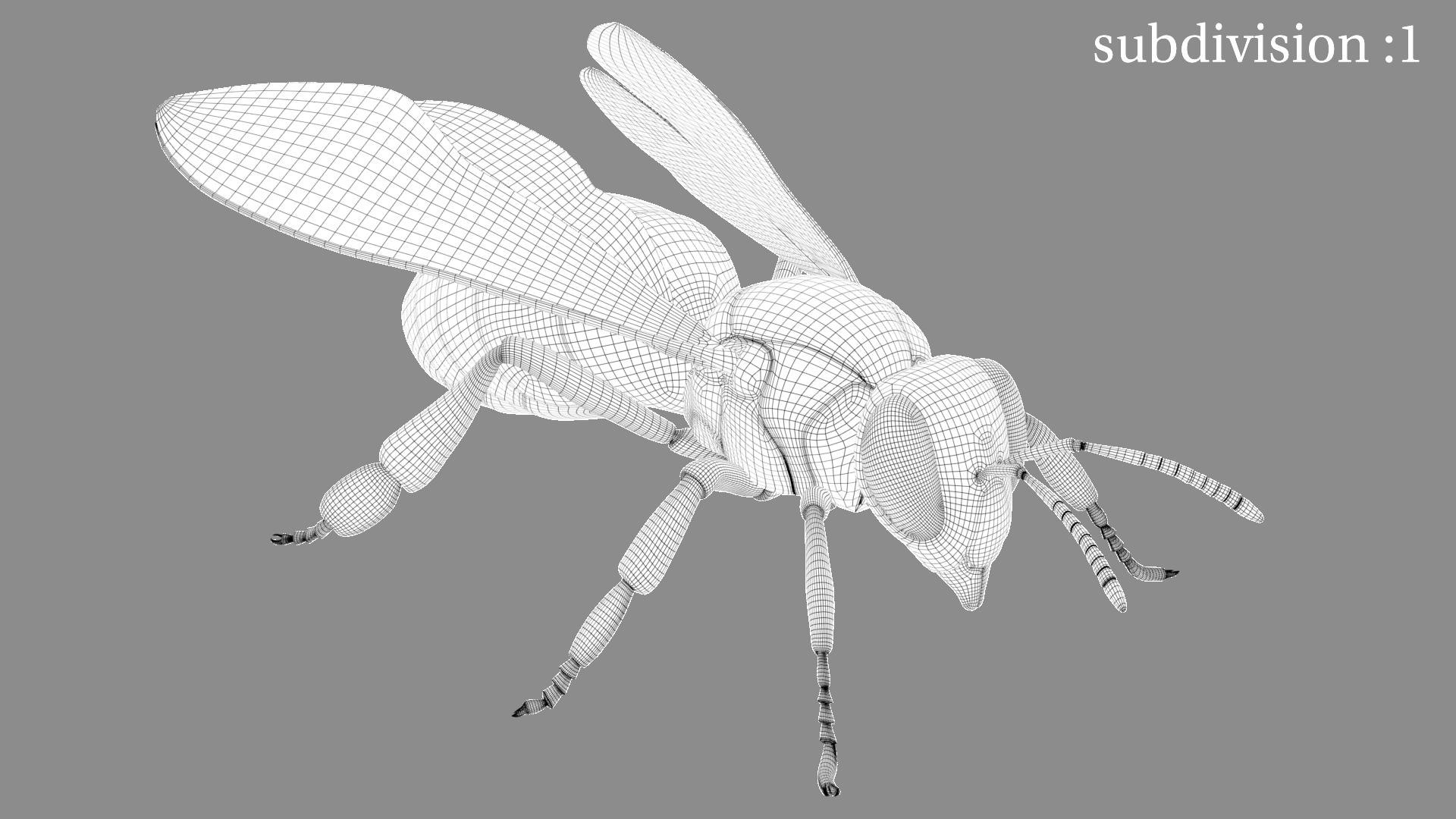BeeRiggedAnimated 3D 3D model https://p.turbosquid.com/ts-thumb/UW/ymtTxf/qP/19/jpg/1753670888/1920x1080/fit_q87/66535ca546d9c29e02c8bb10fa14c901235df07e/19.jpg