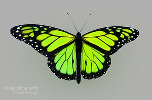 Green Butterfly