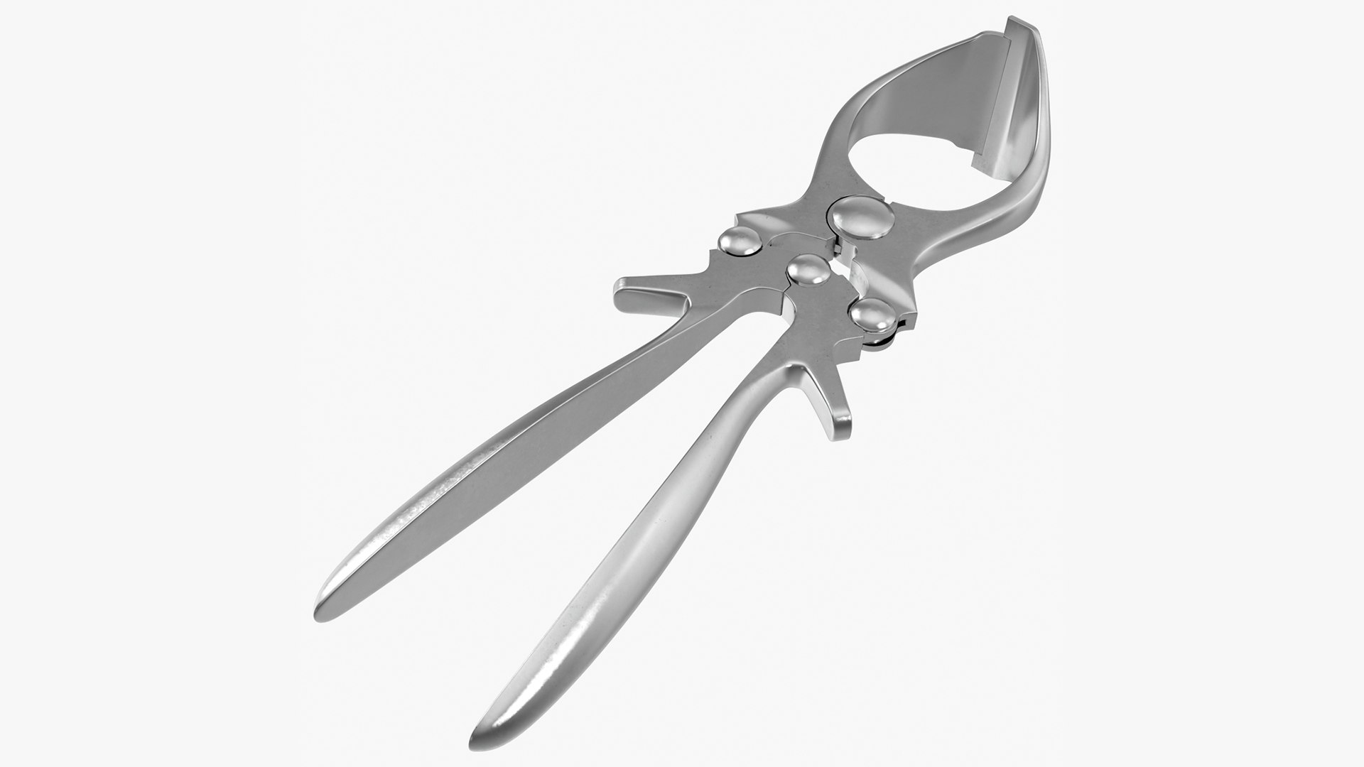 Veterinary Burdizzo Castration Tongs 3D model preview