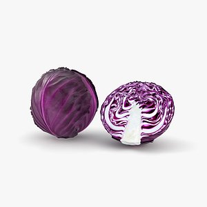 Red Cabbage 3D model