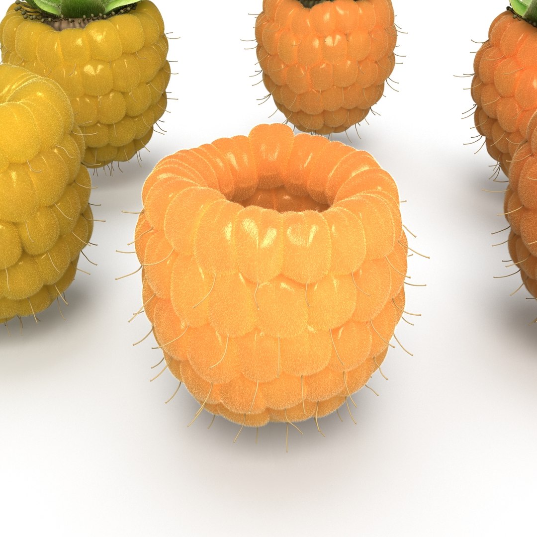 3d raspberries fruit