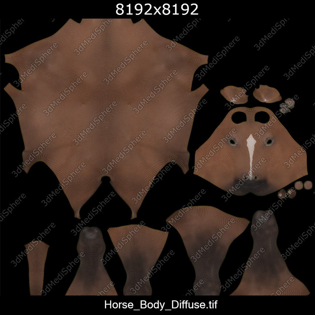 skin horse skeleton 3D model https://p.turbosquid.com/ts-thumb/UX/INgX9a/jPz2tUOD/horse_body_diffuse_uvs/png/1569488049/1920x1080/fit_q87/51cc5c4304178cbbd6df46c1359266fe688d620a/horse_body_diffuse_uvs.jpg