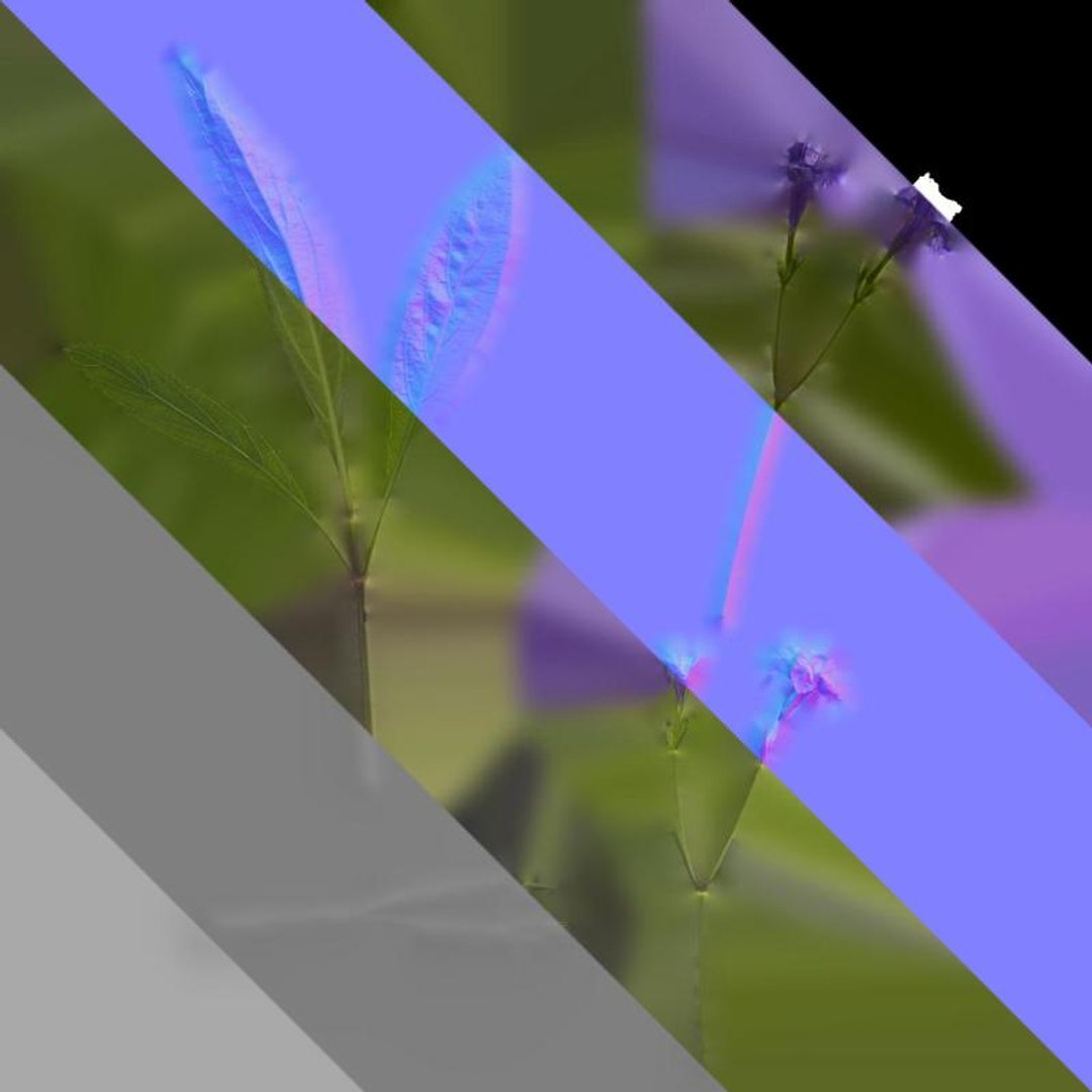 Anydrafts Ruellia Simplex Atlas 02 Textures 3D Model - TurboSquid 2358466