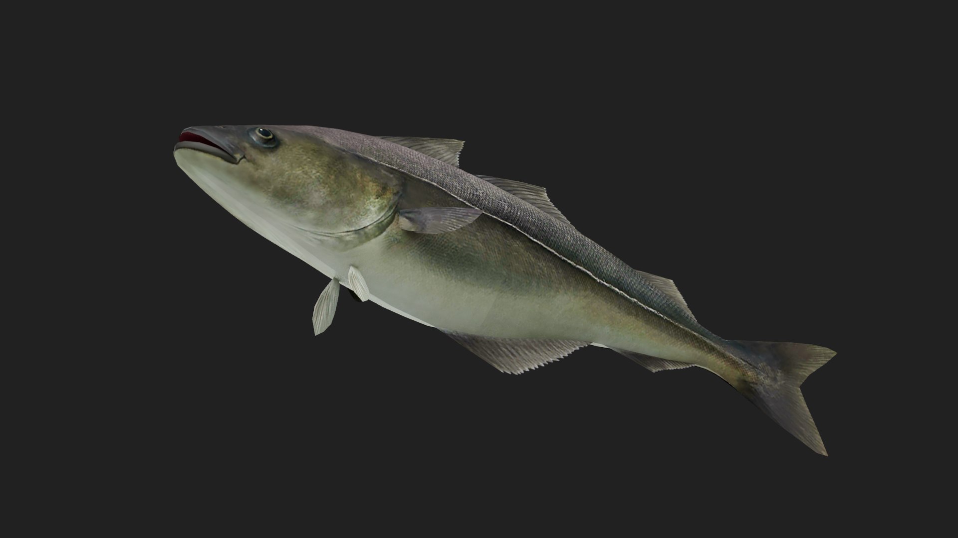 3D Cod - TurboSquid 2122909