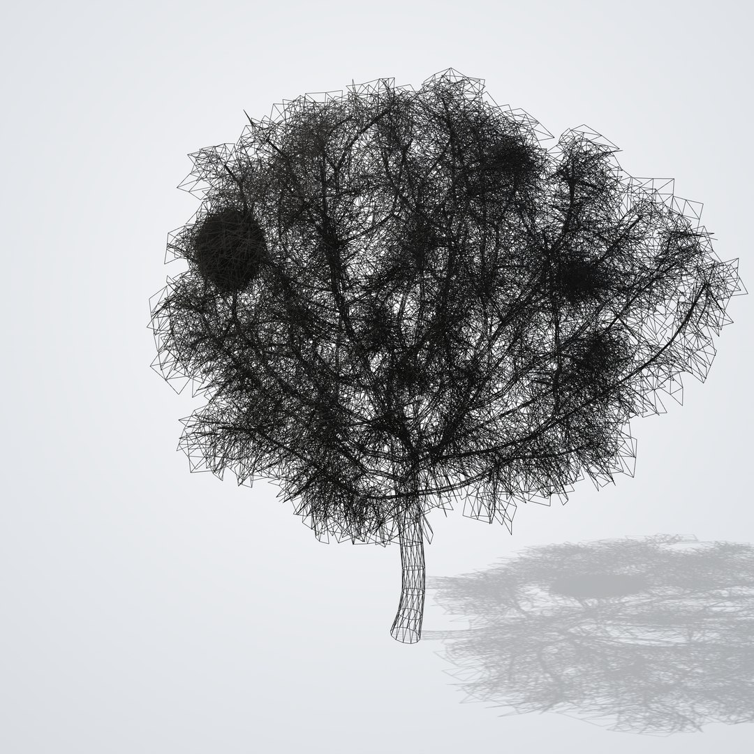 3D Fruitless White Mulberry Tree model https://p.turbosquid.com/ts-thumb/UX/LYSR1T/mr/morusalbafruitless_06_wireframe/png/1790121078/1920x1080/fit_q87/707e6ccbde4f31f303b5b46fc425066970240b57/morusalbafruitless_06_wireframe.jpg