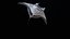 Manta Ray truccata