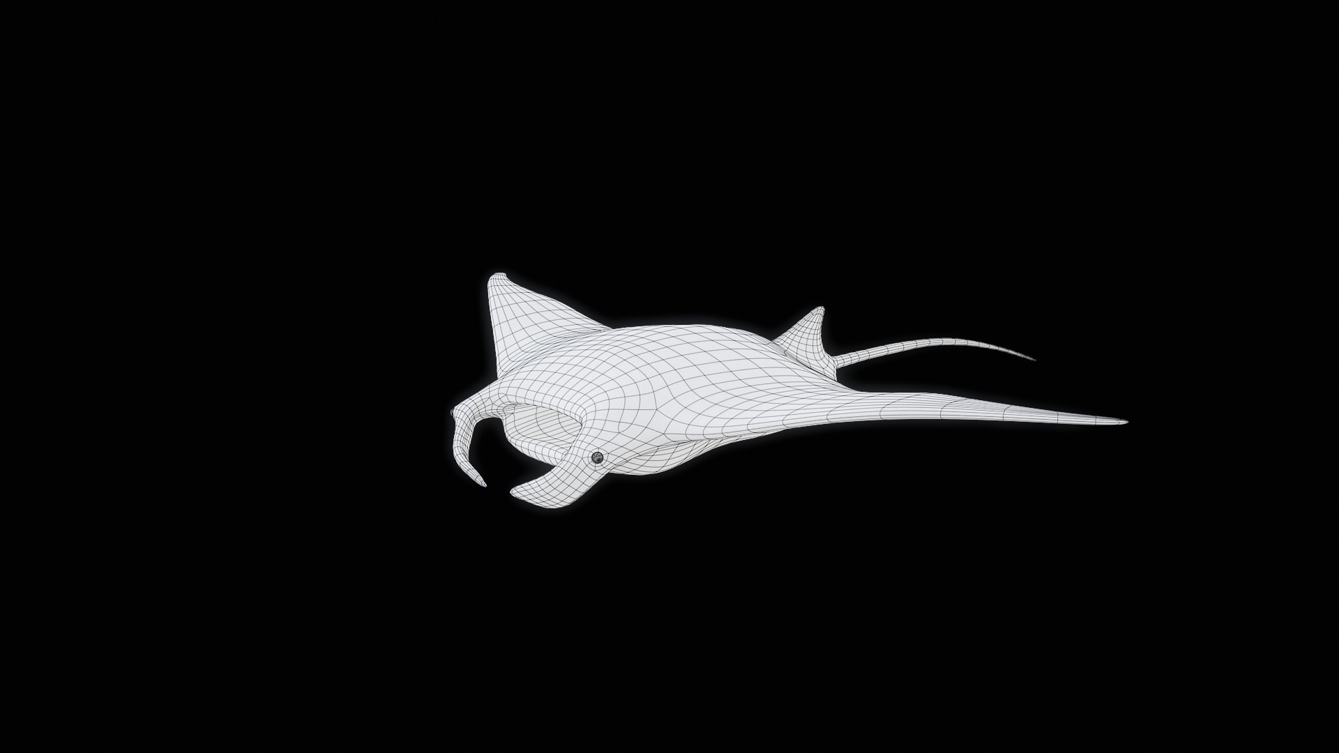 3D Manta Ray Rigged model https://p.turbosquid.com/ts-thumb/UX/NlZCag/Nd/z00/png/1721506273/1920x1080/turn_fit_q99/7788487c4522860315107c5ac8fc7571e70310ad/z00-1.jpg