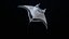 Manta Ray truccata