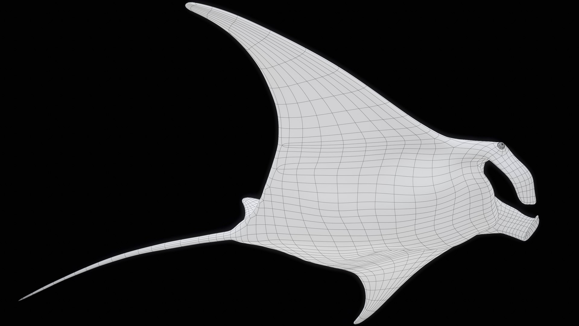 3D Manta Ray Rigged model https://p.turbosquid.com/ts-thumb/UX/NlZCag/ue/r_viewport_036/png/1721505948/1920x1080/fit_q87/59e6561ae0865aae5bbd5104040505e5755fcc91/r_viewport_036.jpg