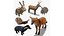 Animais da floresta OBJ e BLEND 2