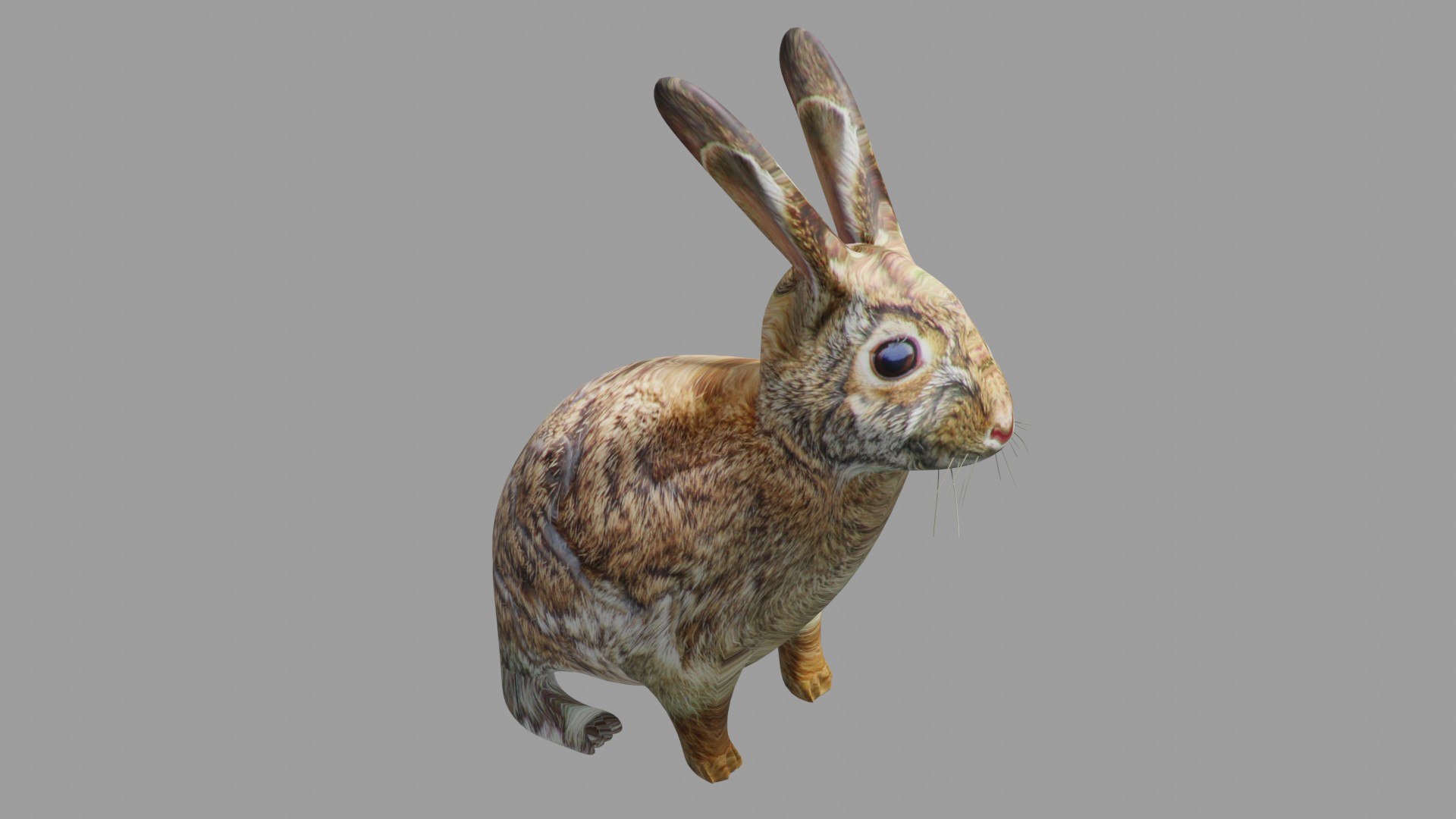 Forest animals OBJ and BLEND 2 model https://p.turbosquid.com/ts-thumb/UX/Oe5Lby/K5/7/jpg/1788124001/1920x1080/fit_q87/140479e9b471bea2b0347df9522a08730a380b62/7.jpg