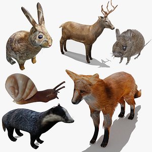 Forest animals OBJ and BLEND 2