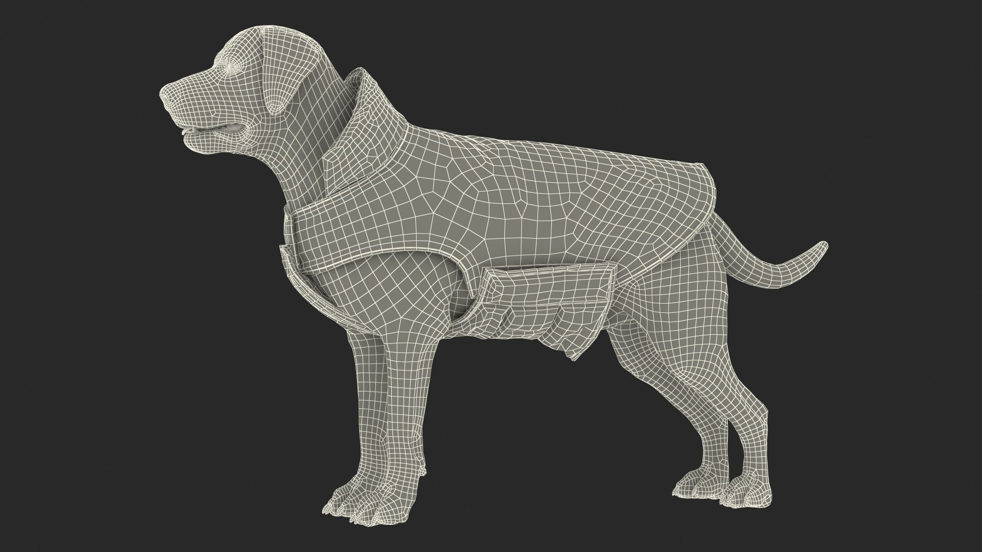Labrador Wearing Red Coat 3D model https://p.turbosquid.com/ts-thumb/UX/siGOnJ/DK/labradorwearingredcoatvray3dmodel027/jpg/1678151208/1920x1080/fit_q87/d9562d89aa9c33d3c385ee65ca642115aa769d9d/labradorwearingredcoatvray3dmodel027.jpg